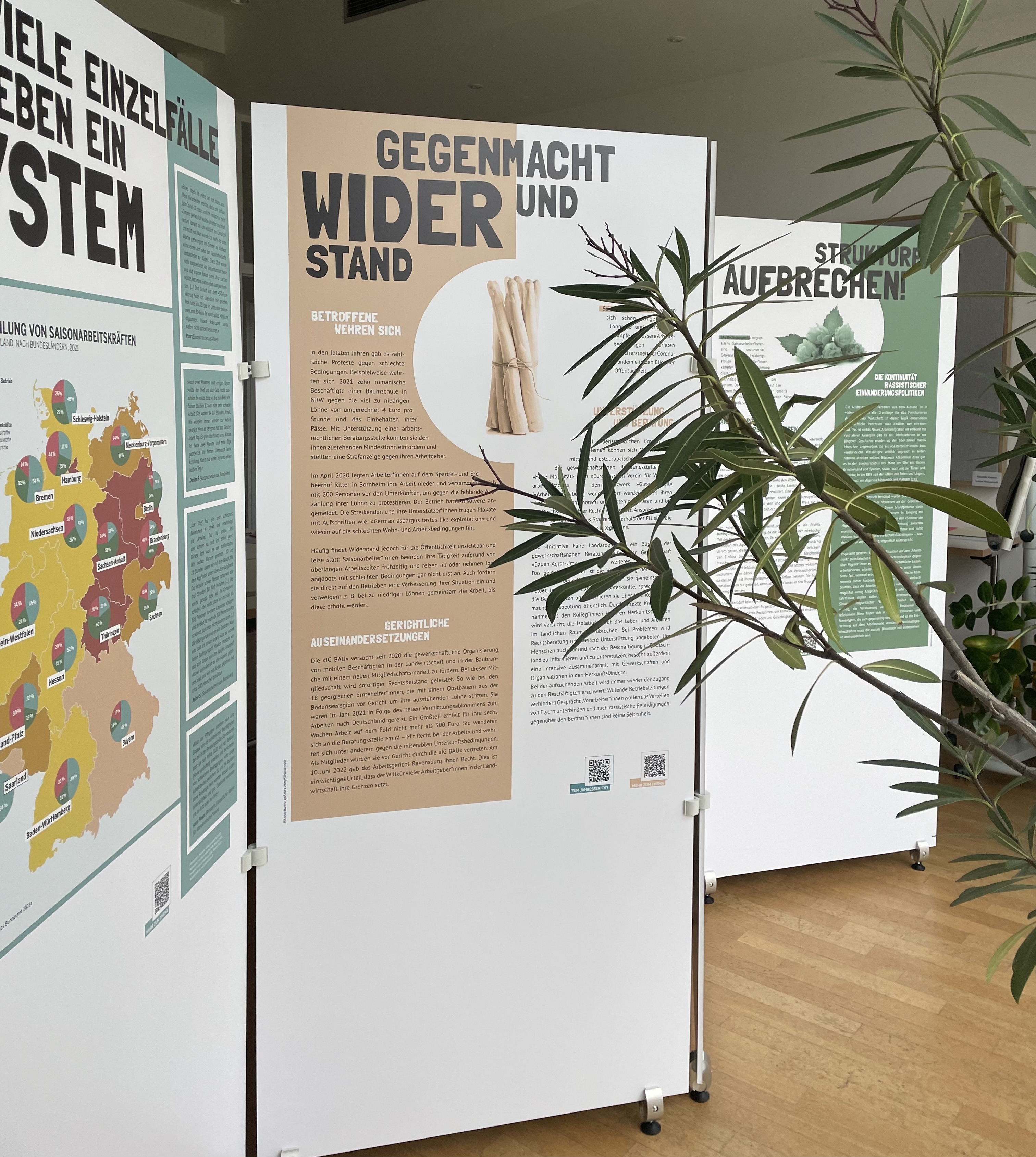 drei Ausstellungstafeln. An der rechten Ecke eine Pflanze die ins Bild ragt