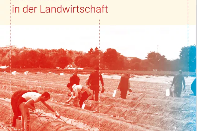 Titelbild Jahresbericht Initiative FAire Landarbeit 2020