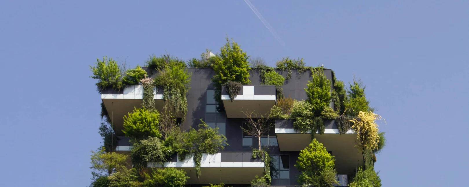 Neubau mit Fassadenbegrünung